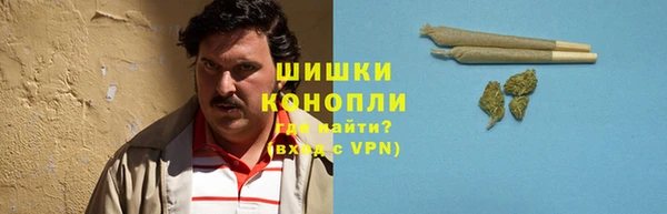 бошки Богородицк