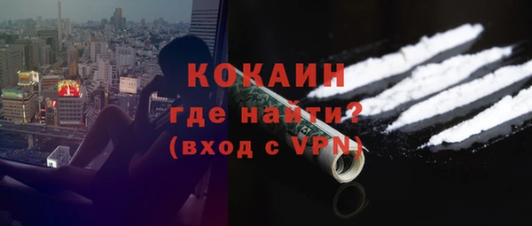 ECSTASY Бородино