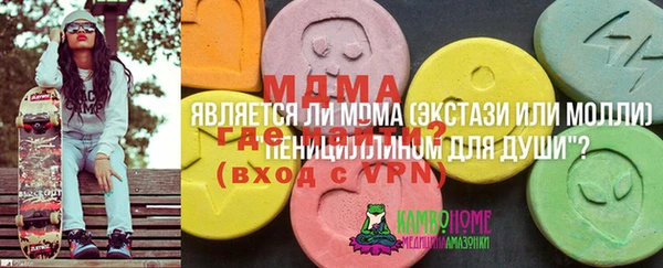 ECSTASY Бородино