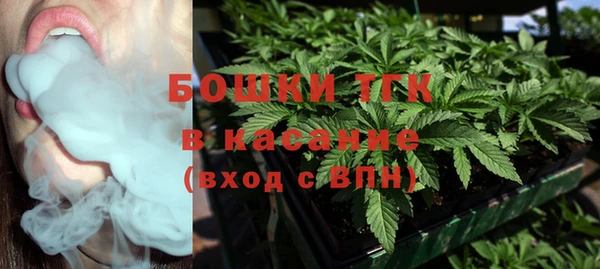 бошки Богородицк